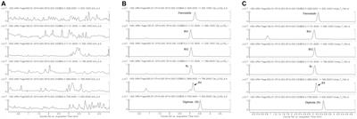 A pharmacokinetic study on red ginseng with furosemide in equine